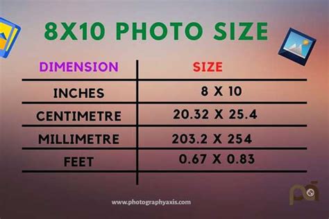 8x10 frame in cm|8x10 which is height.